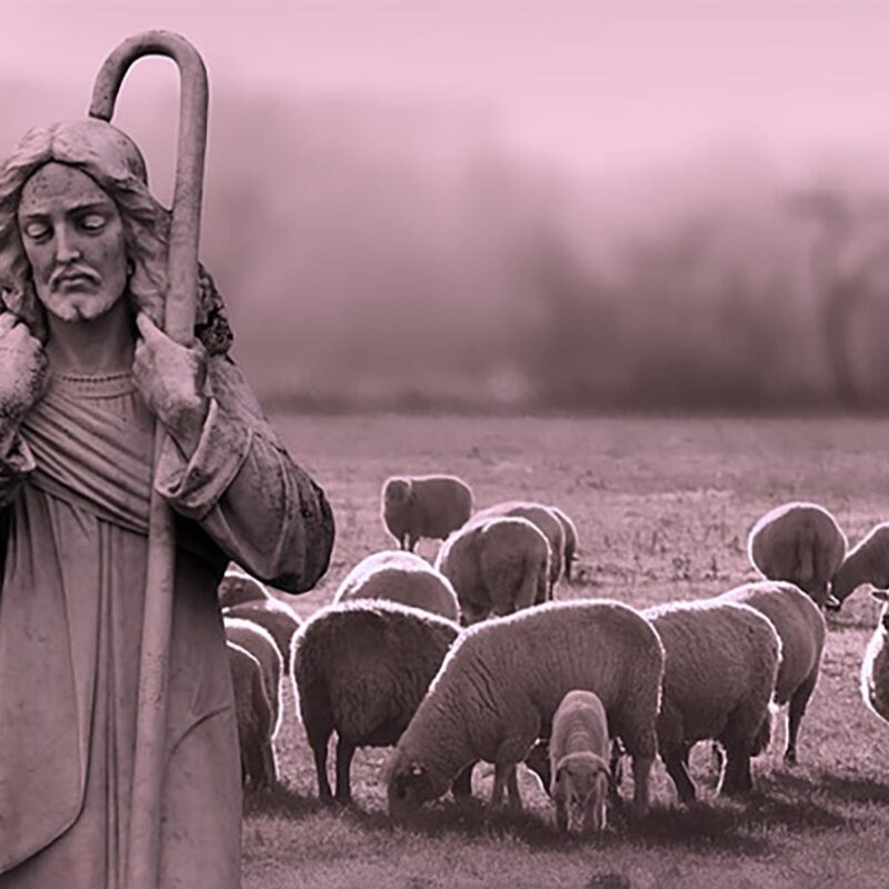 Oración por los sacerdotes